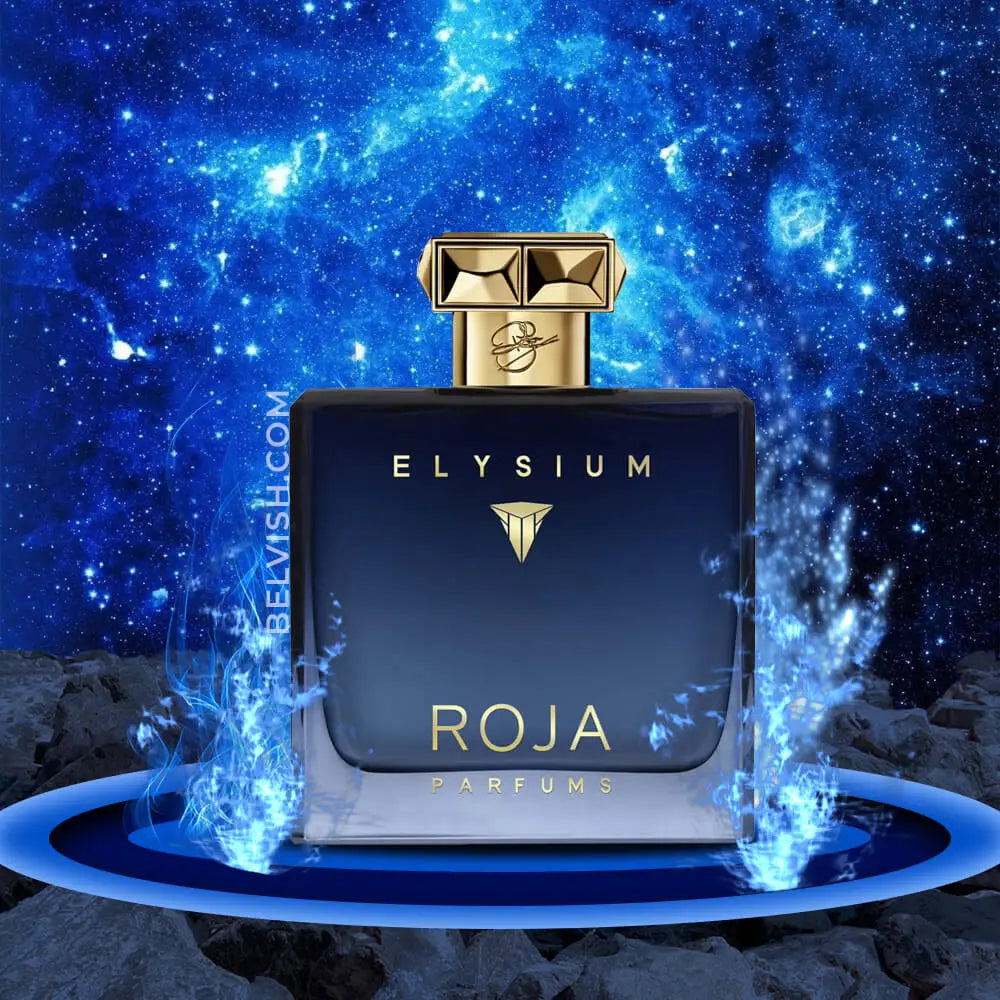 Roja Elysium Pour Homme Eau de Parfum 100 ml