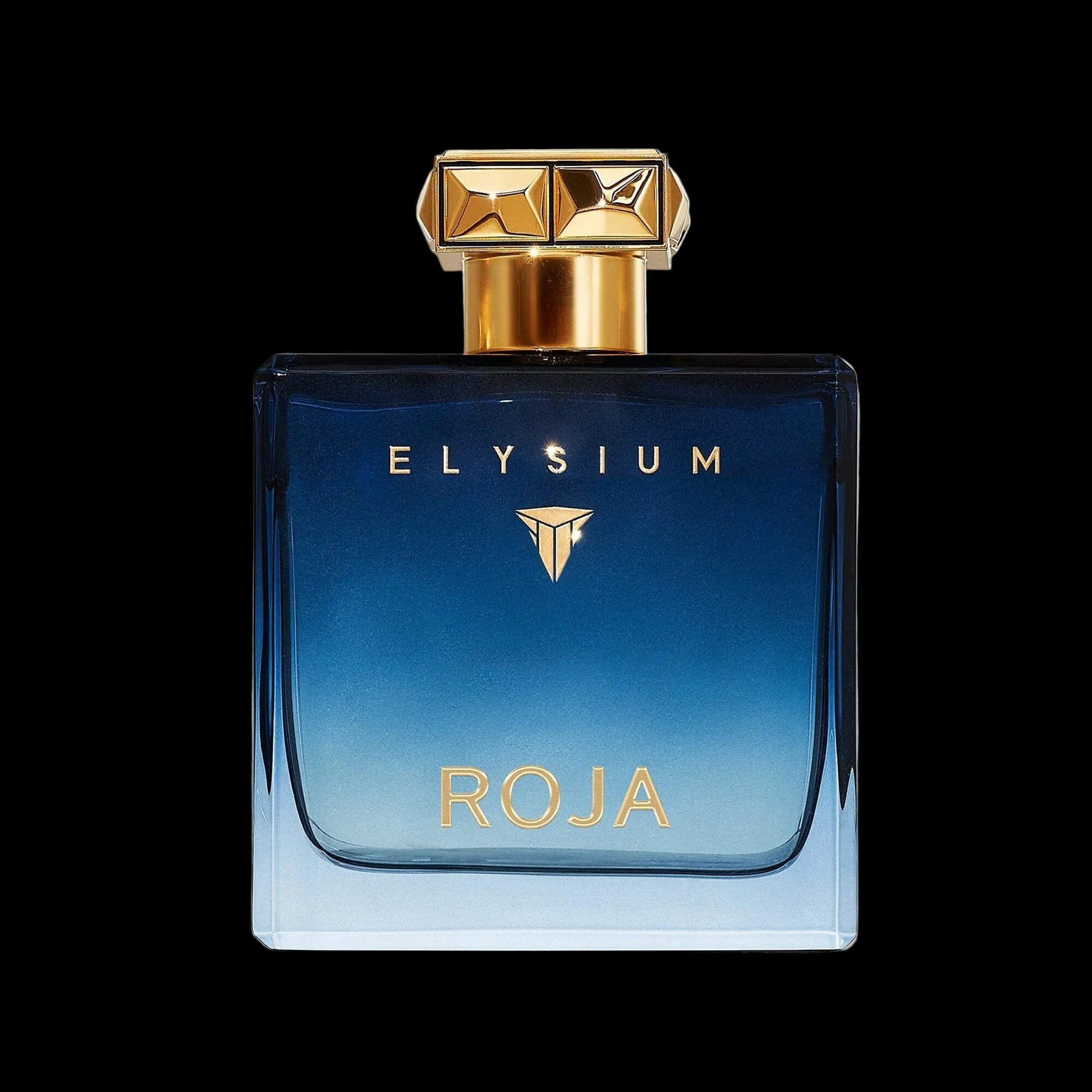 Roja Elysium Pour Homme Eau de Parfum 100 ml - flacon Roja Parfums