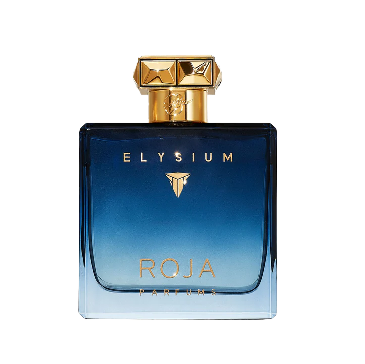 Roja Elysium Pour Homme Eau de Parfum 100 ml